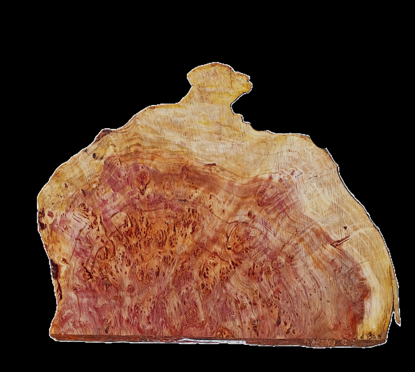 Redwood Lace Burl | DIY Crafts | River Table | R25-2529