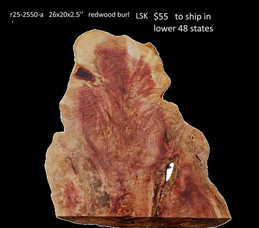 Redwood Lace Burl | DIY Crafts | River Table | R25-2550