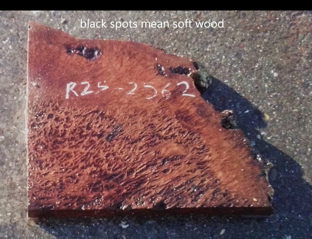 Redwood slab | Lace Burl | Craft Wood | DIY | R25-2562