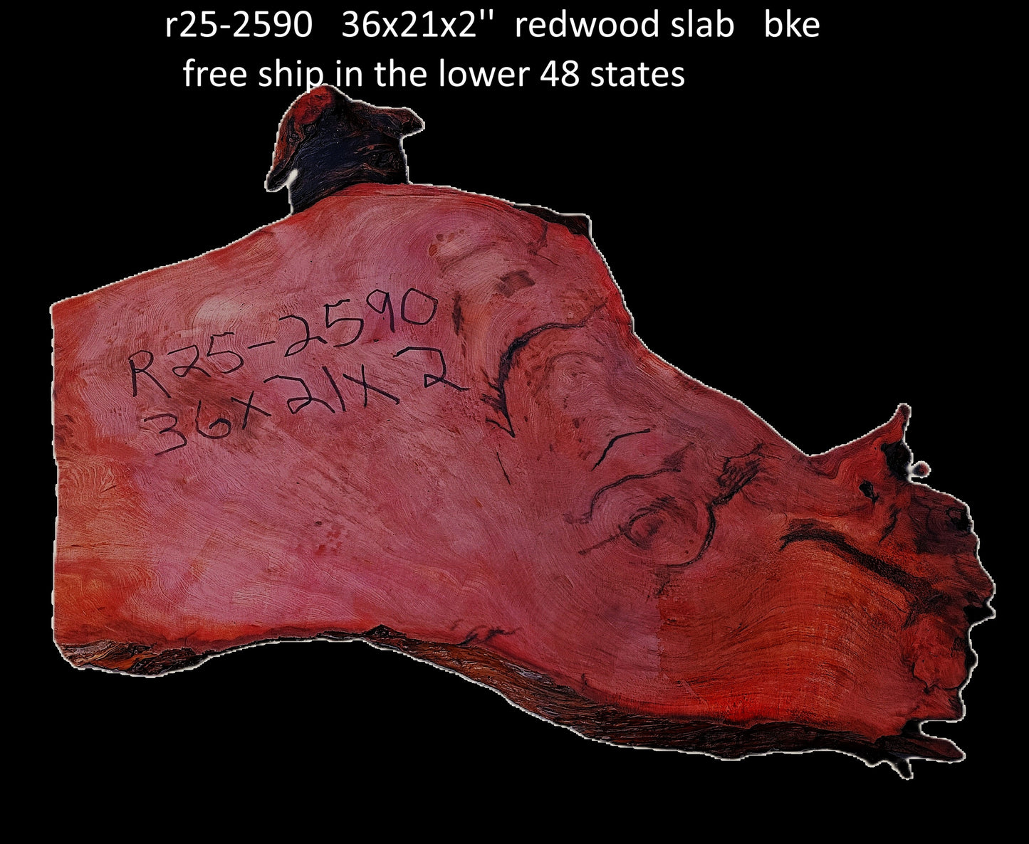 Redwood Burl Slab | DIY | River Table | burl table | R25-2590