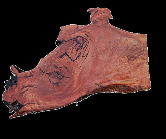 Redwood Burl Slab | DIY | River Table | burl table | R25-2590