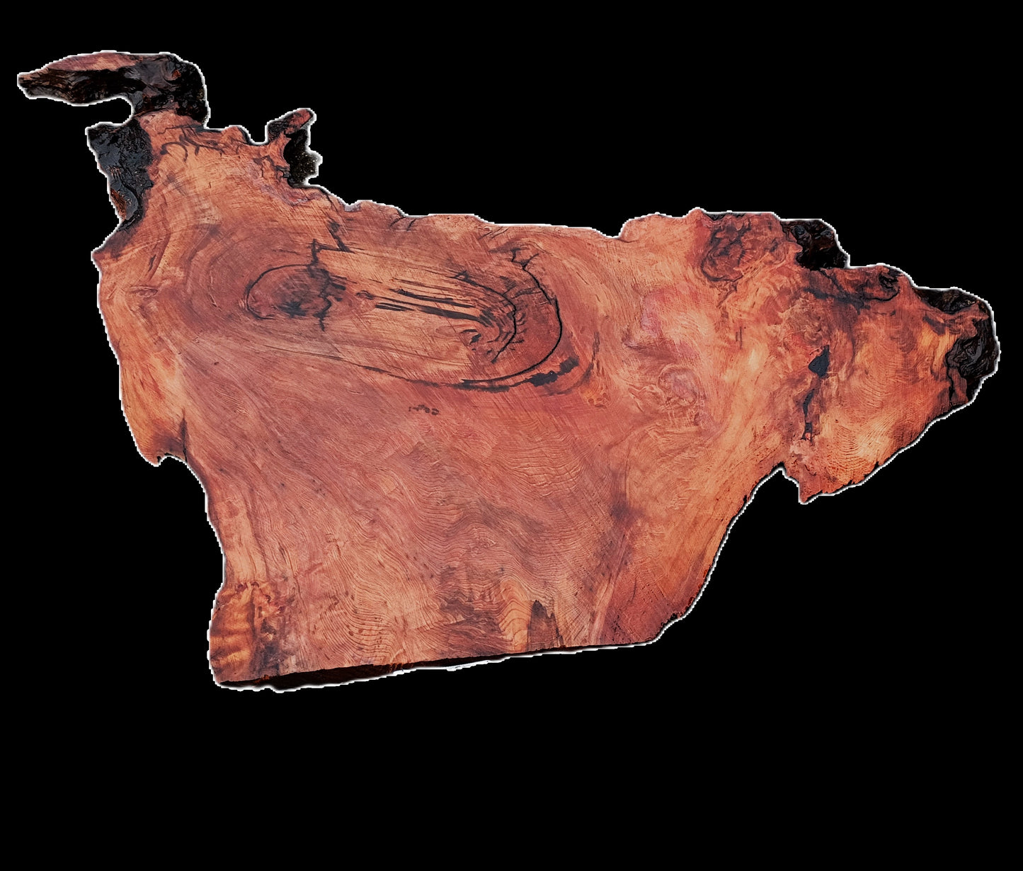 Redwood Slab | DIY | River Table | Burl table | Craft Wood | R25-2591