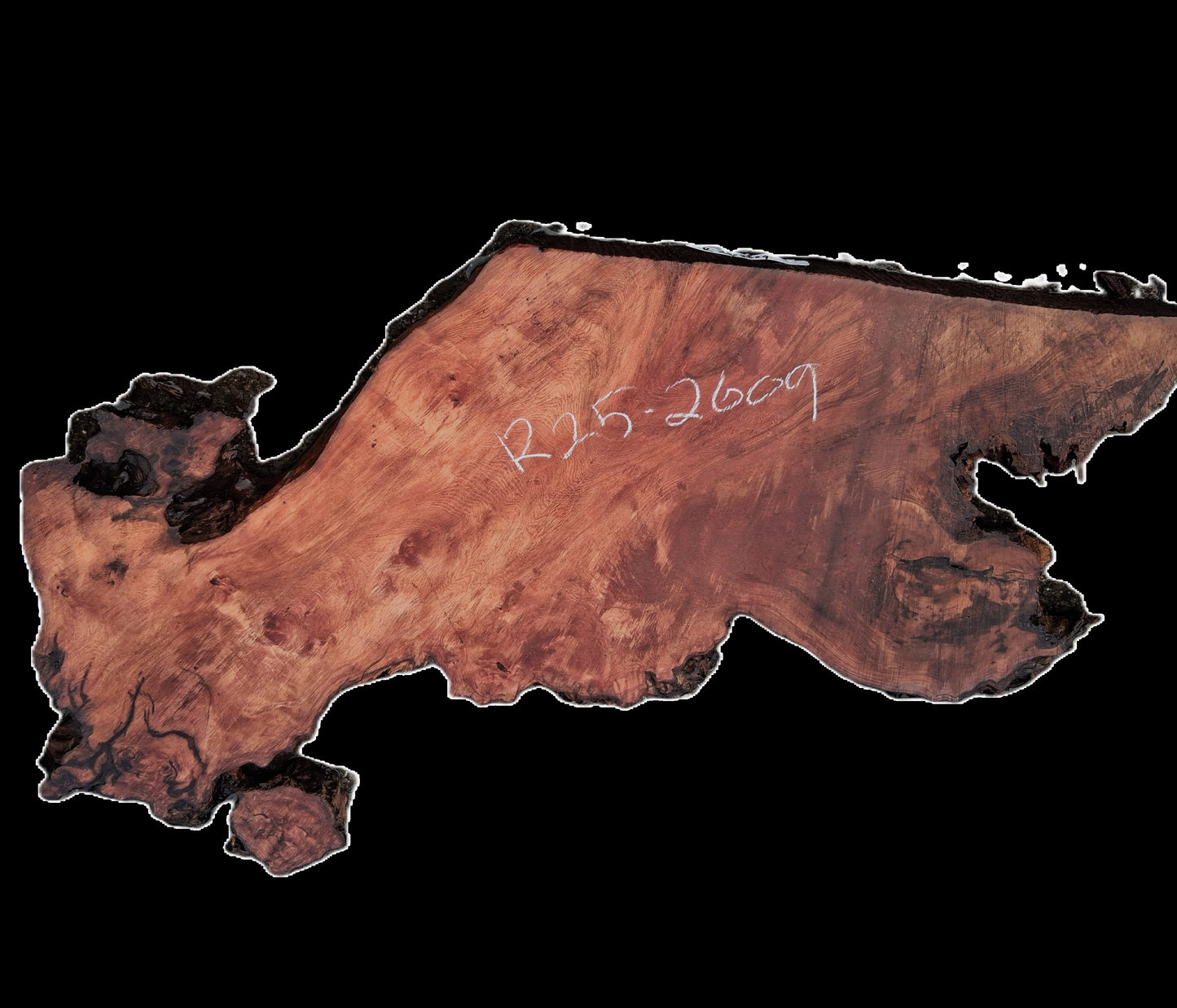 Redwood Burl | DIY | River Table | Craft Wood | R25-2609
