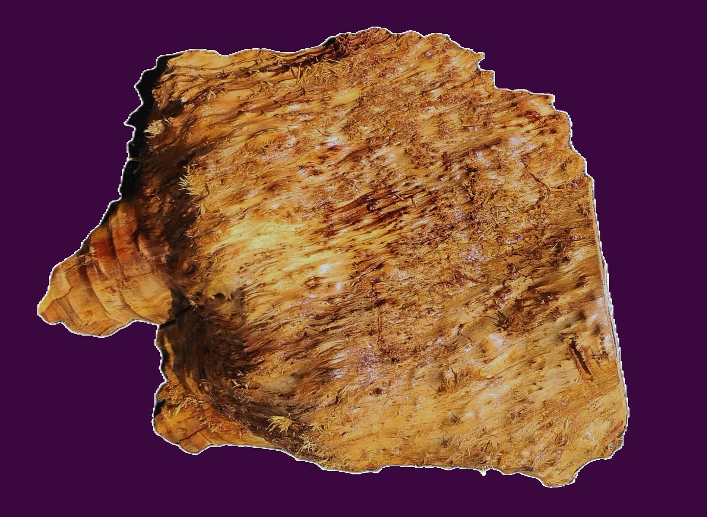 Redwood Lace Burl Cap | bowl turning | DIY | Craft Wood | live edge | r25-3133
