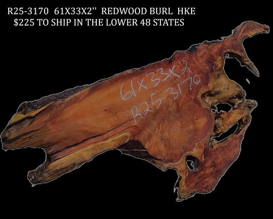 Redwood Burl | DIY | River Table | Craft Wood | R25-3170