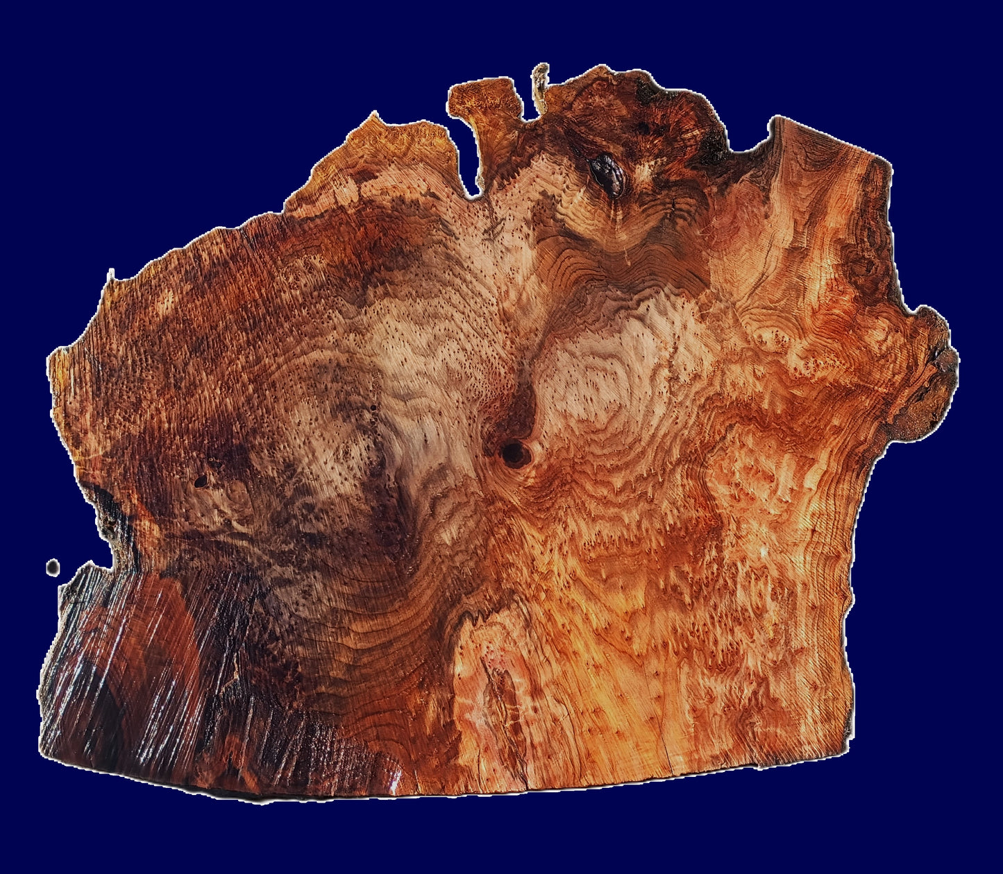 Redwood burl slab | DIY | burl table | river table | craft wood | r25-3286