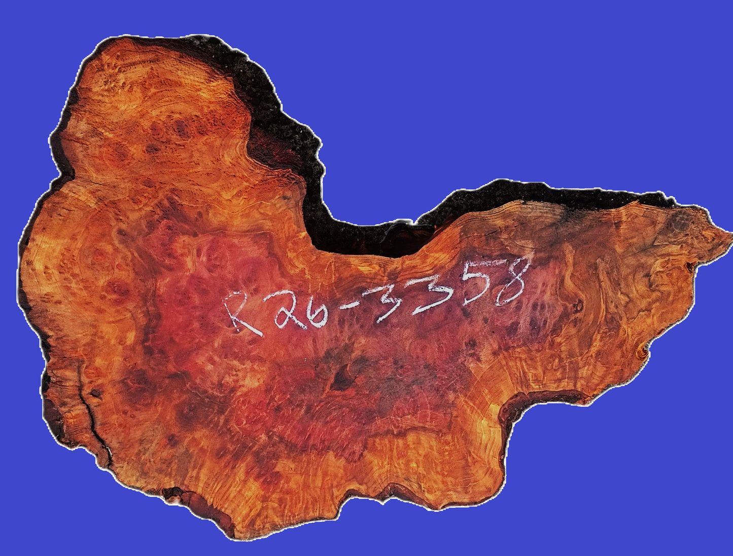 Redwood Lace Burl Slab | River Table | DIY | R26-3358