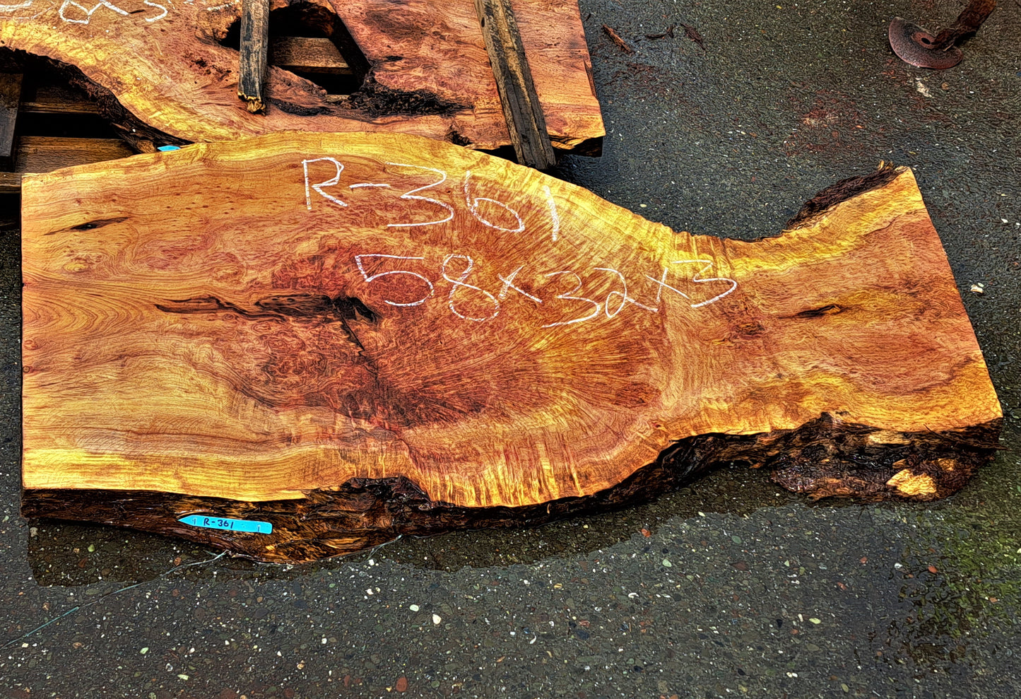 lace burl redwood l river table | wood turning | live edge slab | r-361