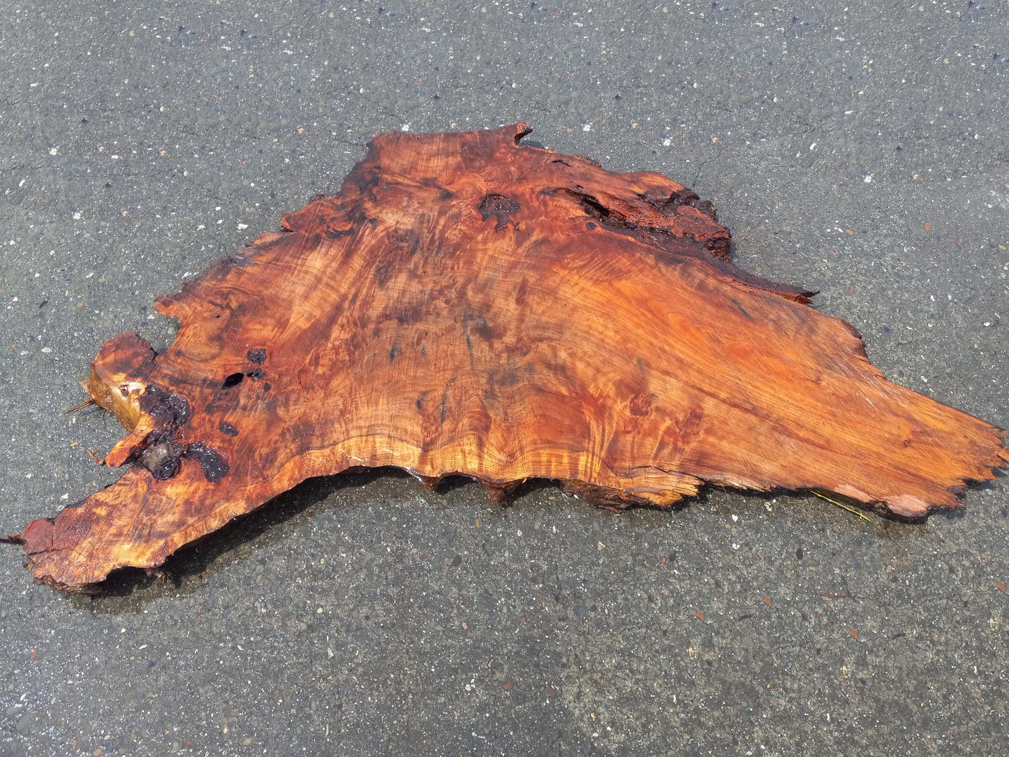redwood burl | desk top | live edge slab | Headboard | | r-398