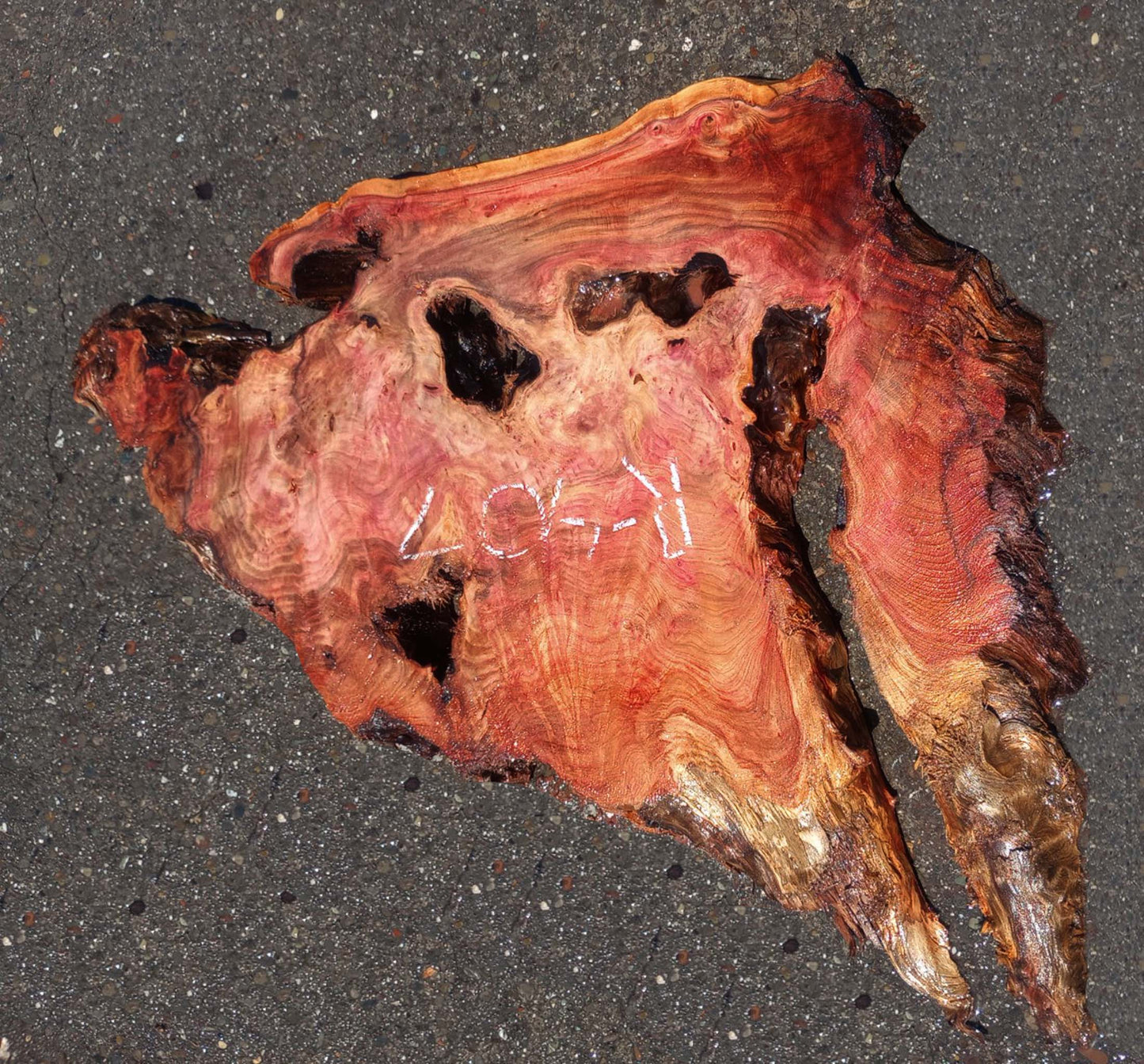 redwood burl | epoxy river table | live edge wood | DIY crafts | r-407