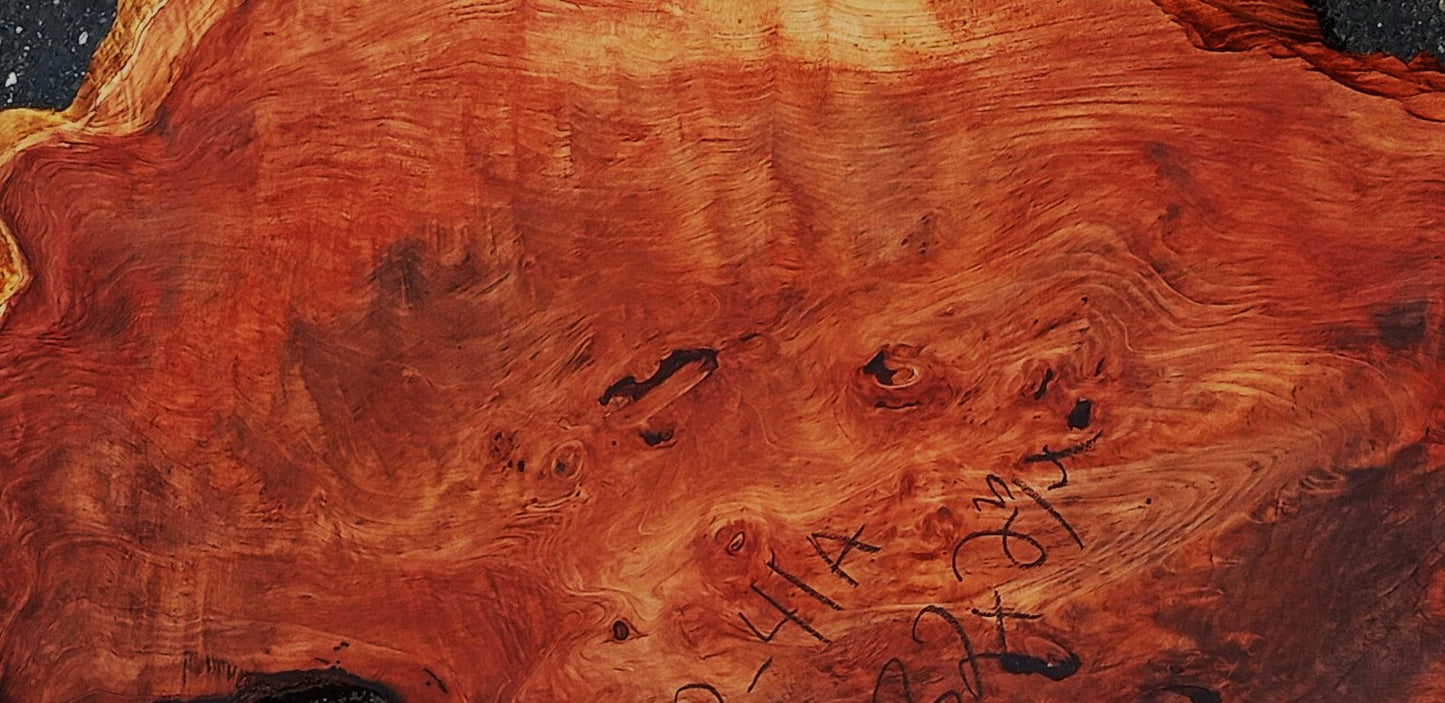 Redwood burl slab | DIY | burl table | river table | craft wood | r41