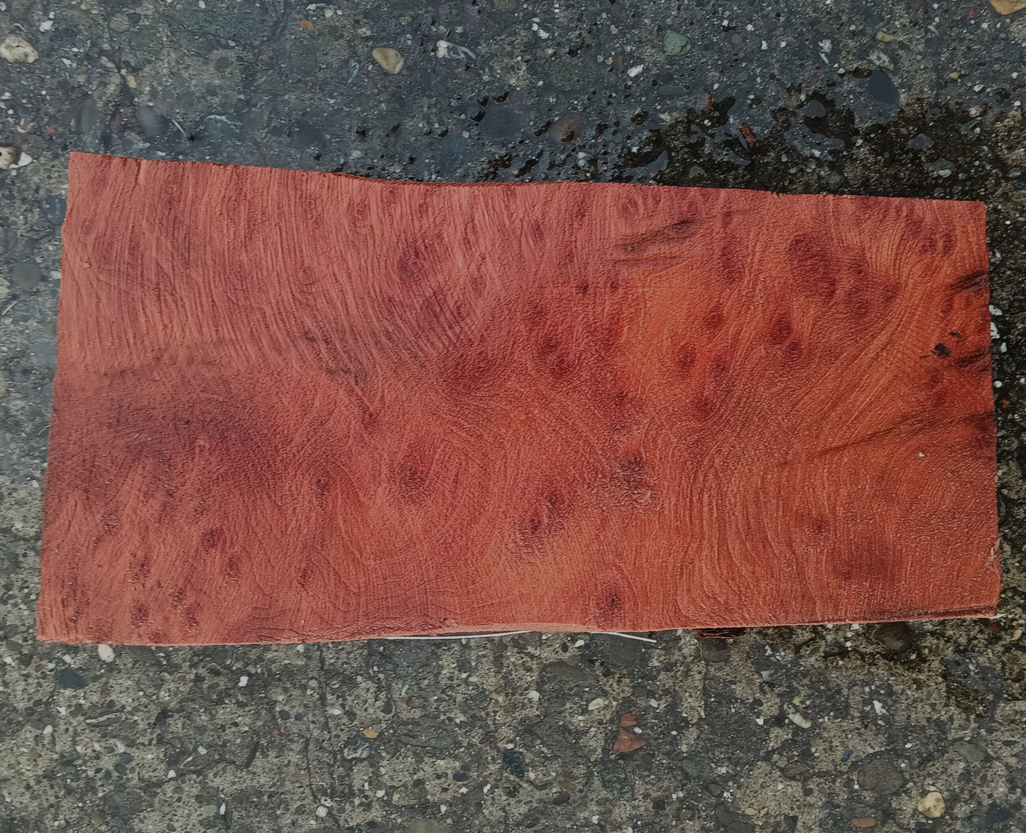 Redwood Burl | Turning block | DIY Crafts | R24-1870