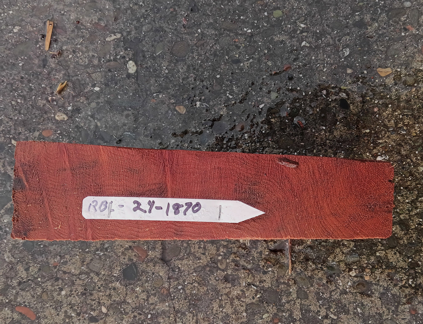 Redwood Burl | Turning block | DIY Crafts | R24-1870