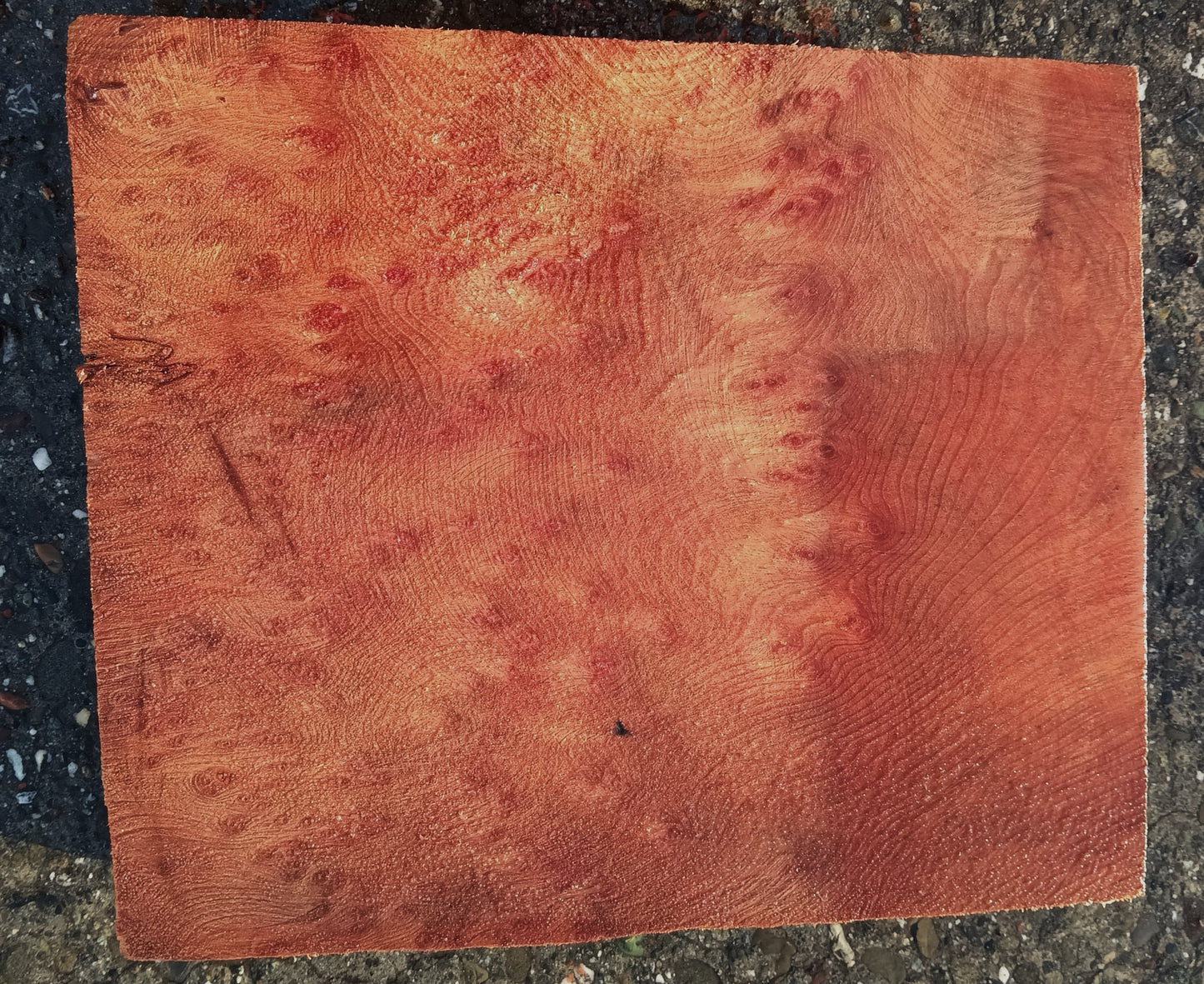 Redwood Burl | Turning block | Craft Wood | R24-1871