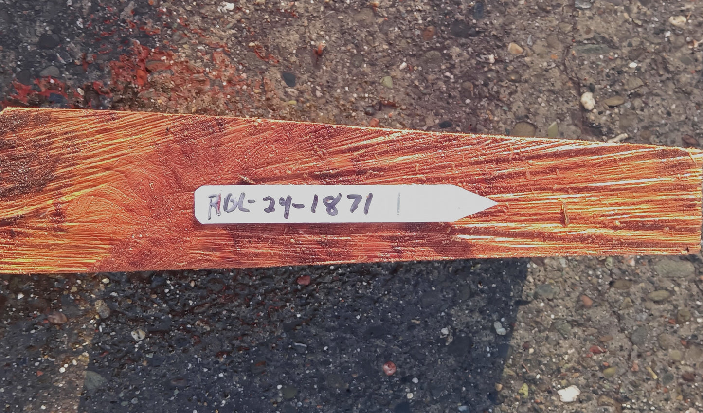 Redwood Burl | Turning block | Craft Wood | R24-1871