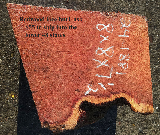 Redwood Lace Burl | Craft Wood | DIY Crafts | R24-1881