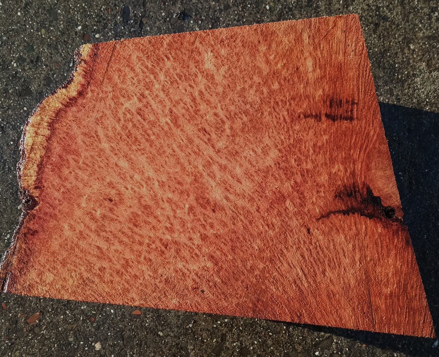 Redwood Lace Burl | Craft Wood | DIY Crafts | R24-1881