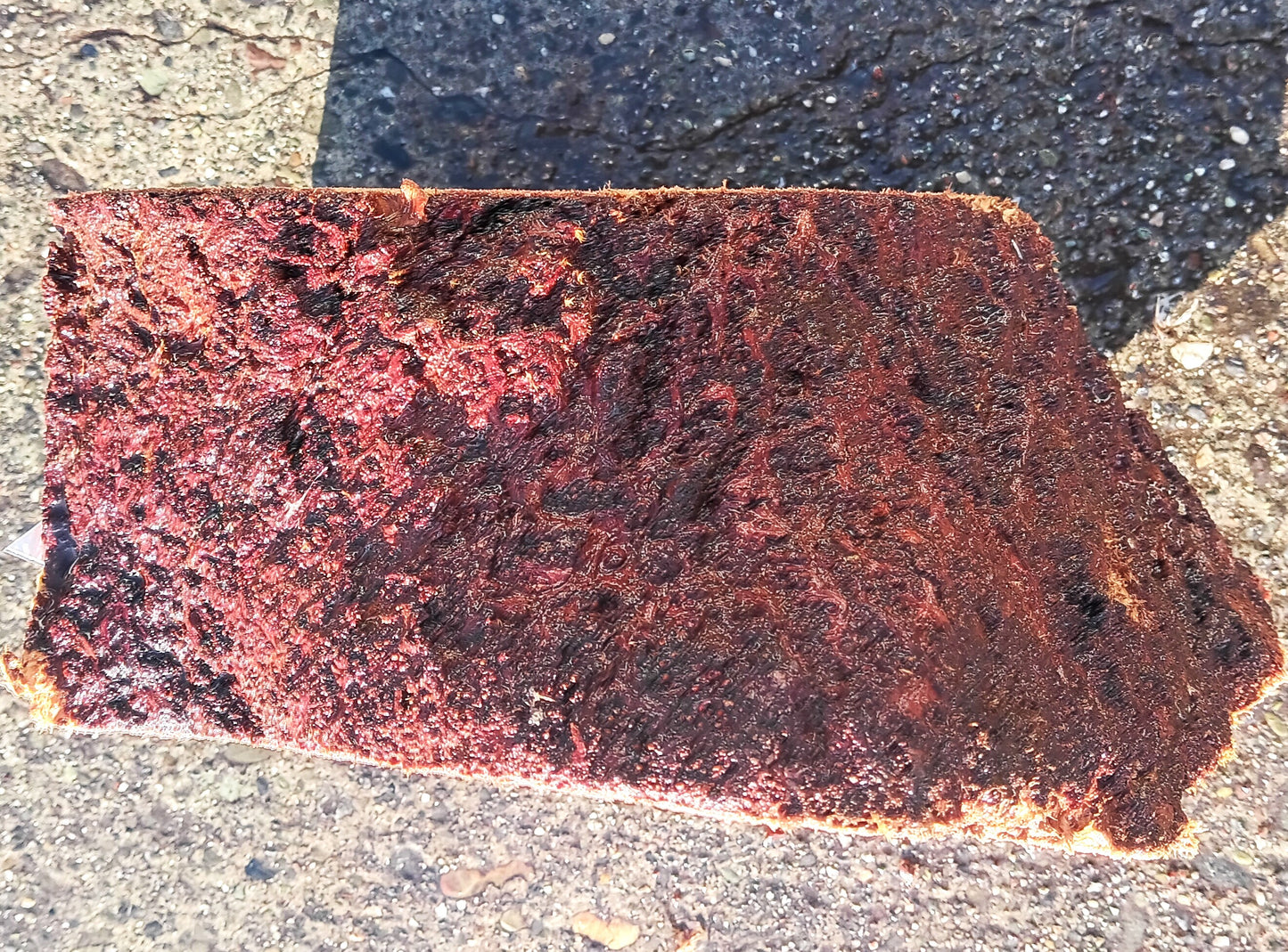 Redwood Burl | Turning block | Craft Wood | R24-1882