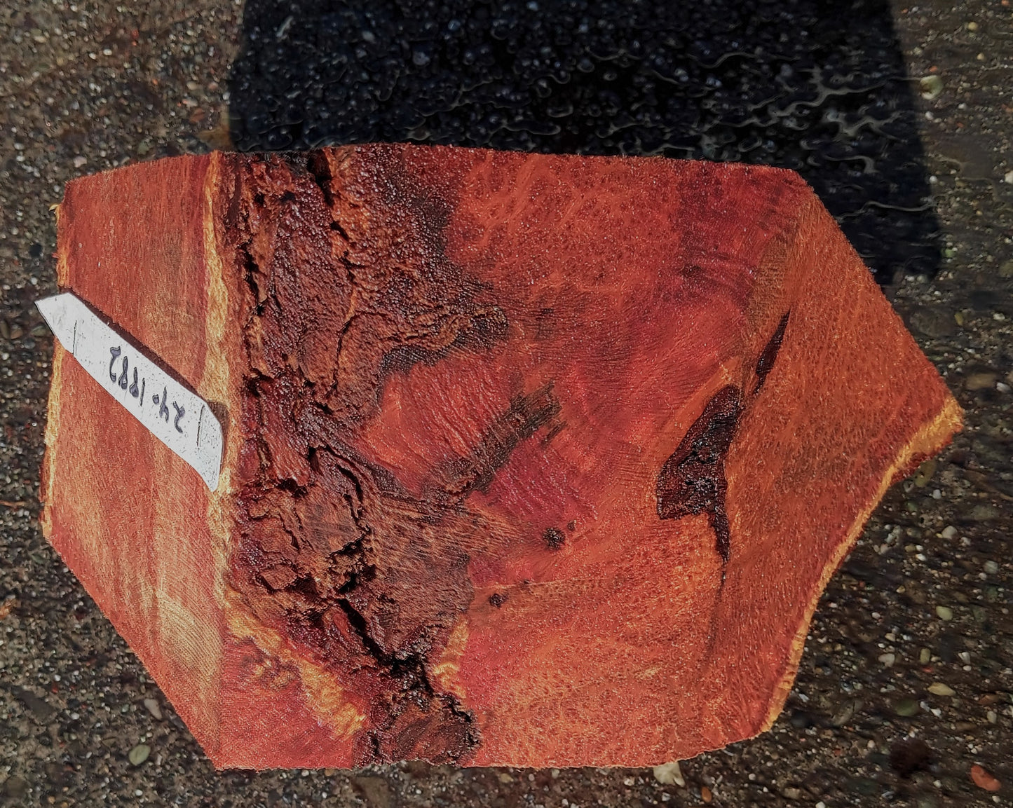 Redwood Burl | Turning block | Craft Wood | R24-1882
