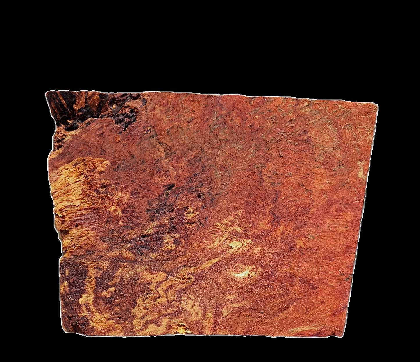 Redwood Burl Block | Burl | DIY | Turning Wood | RBL25-2448