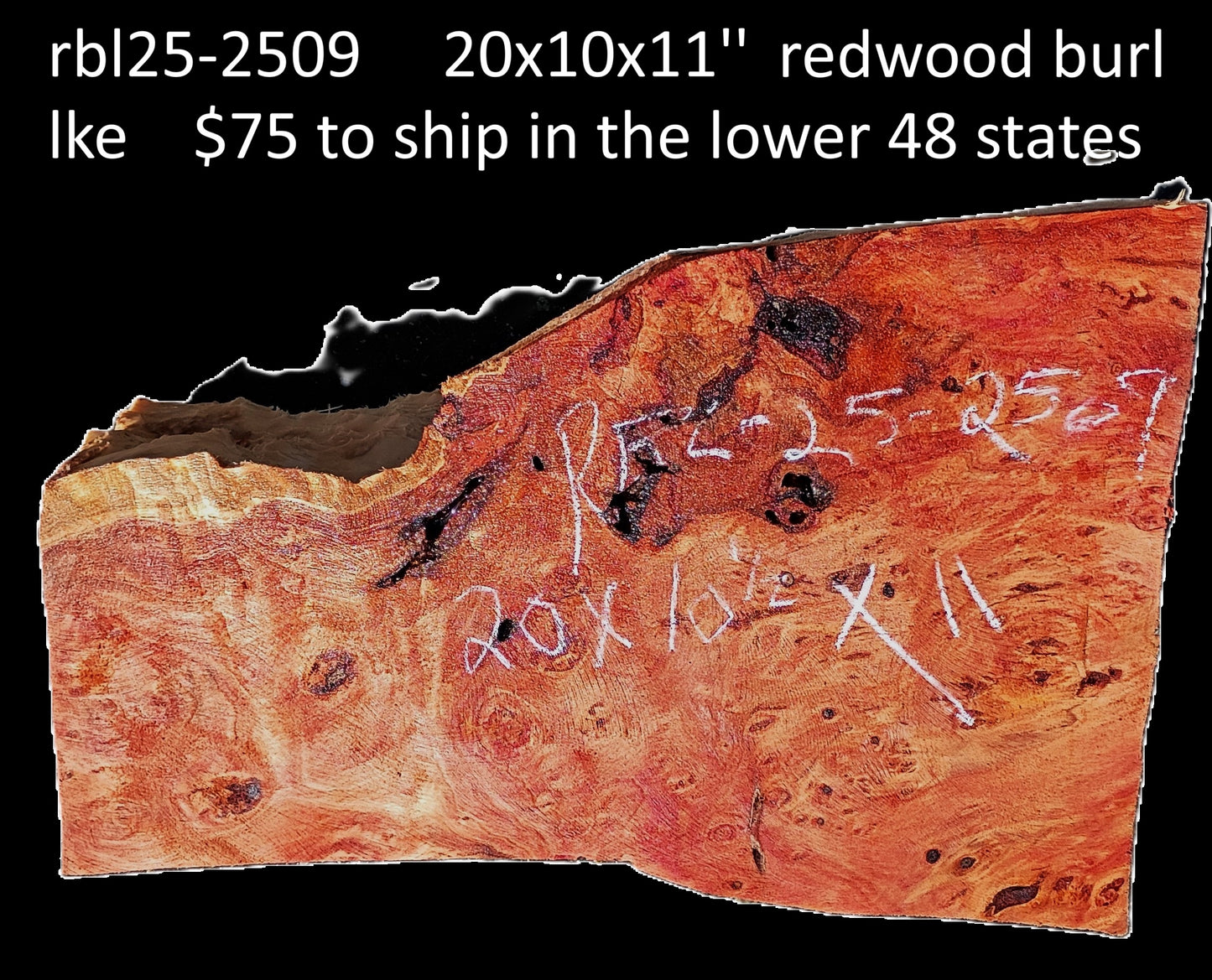 Redwood Burl | Turning Block | Craft Wood | DIY | RBL25-2509