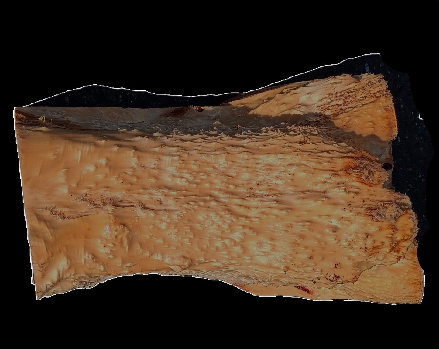 Redwood Burl | Turning Block | Craft Wood | DIY | RBL25-2509