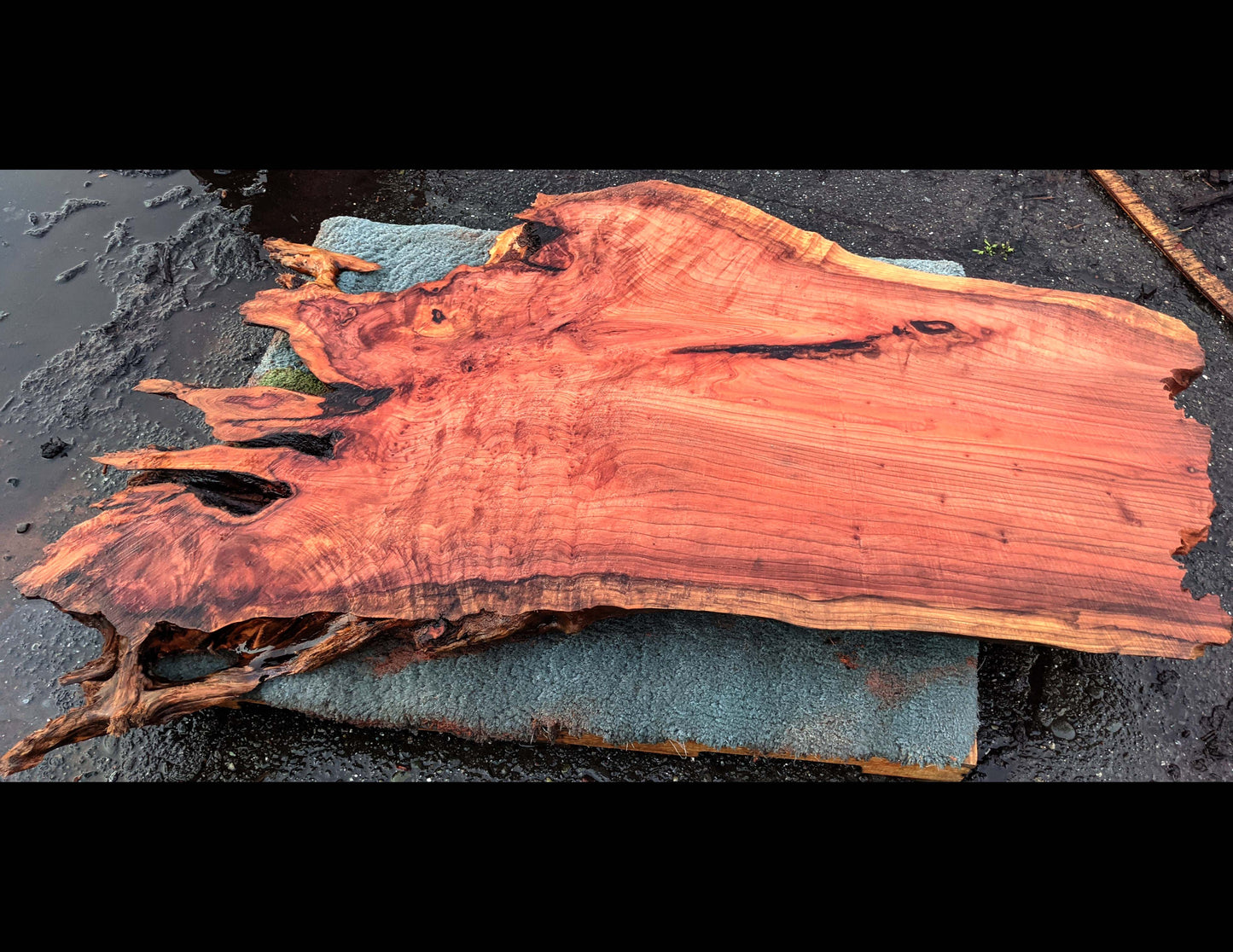 Redwood Slab | River Table | DIY Craft Wood | bsz-1345