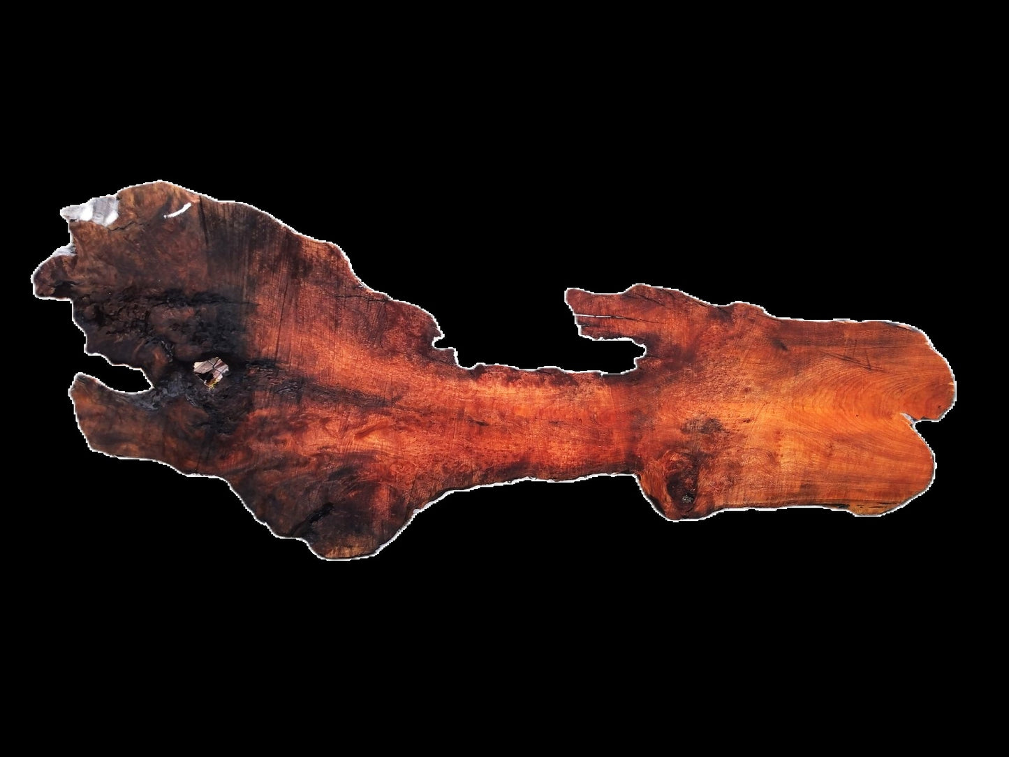 Redwood Burl | DIY Crafts | Burl Slab | Craft Wood | RBS-1600