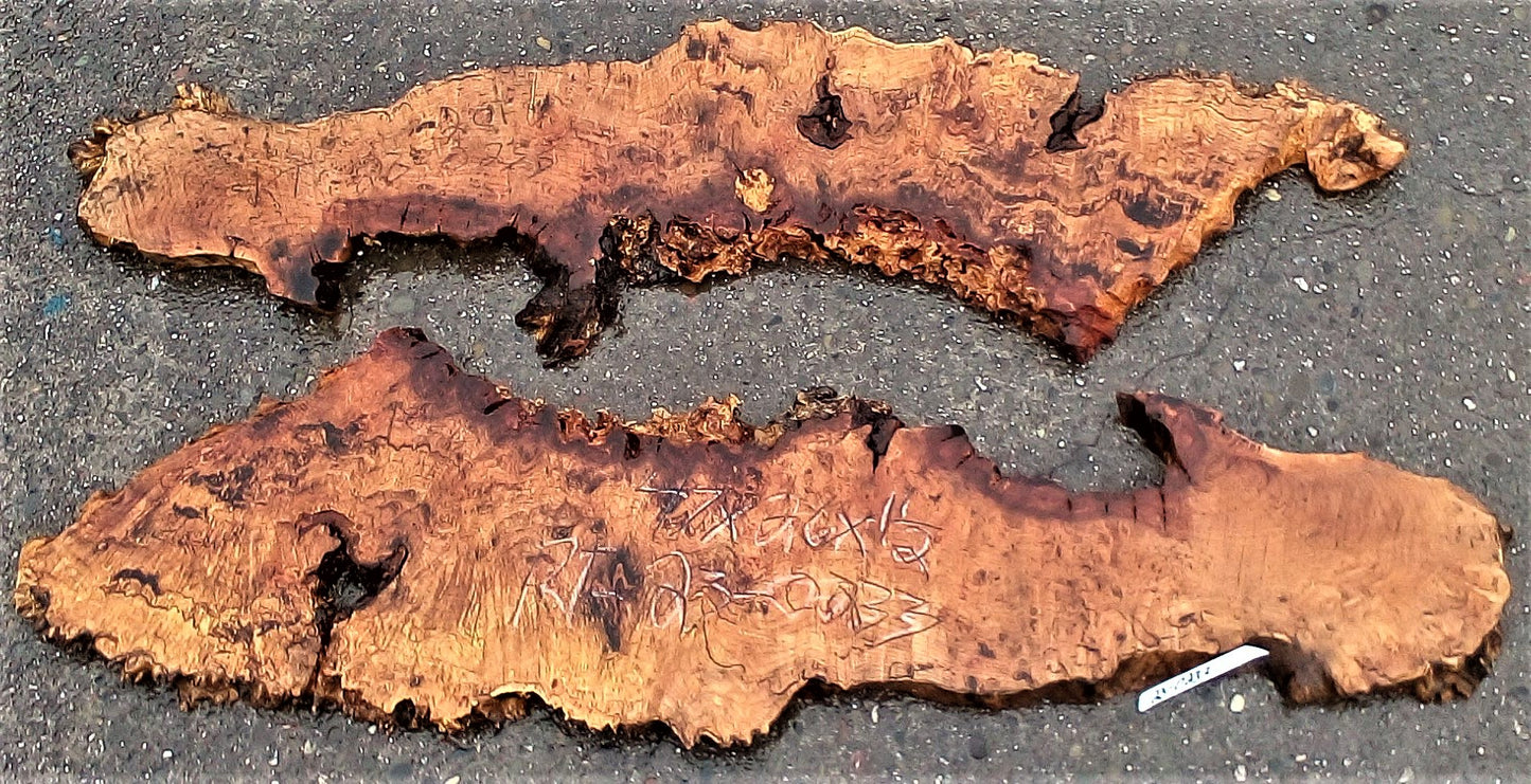 maple burl | epoxy river table | DIY wood crafts | table | rt23-0233