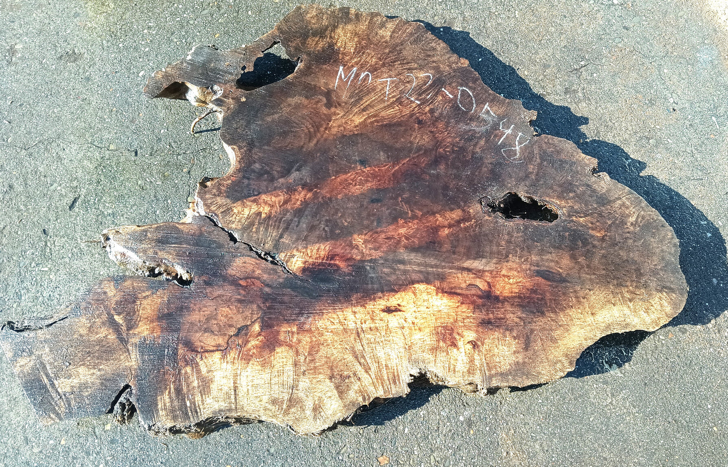 Myrtle Burl Slab | DIY | Table | Craft Wood | River Table | Mrt23-0548