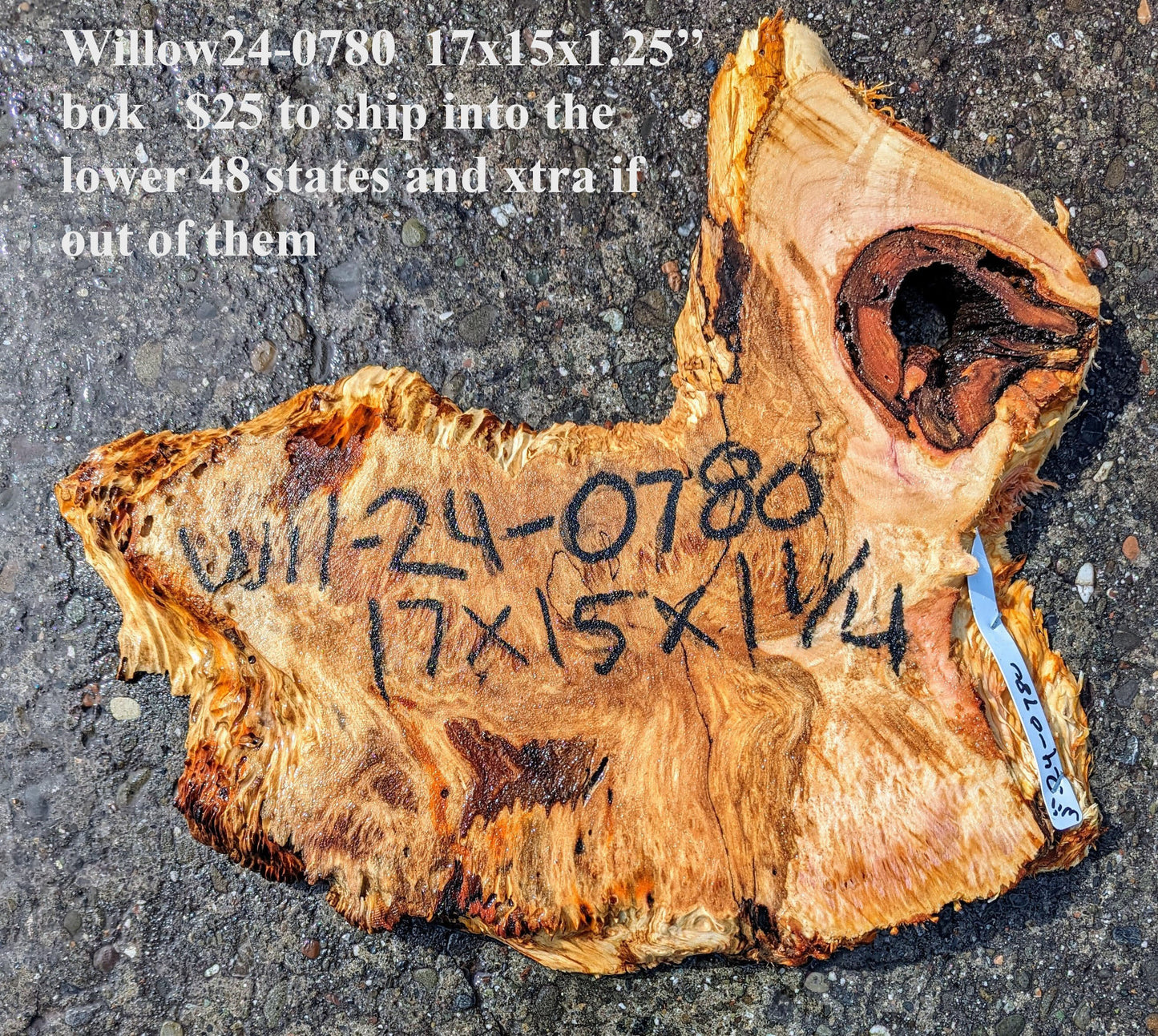 Sitka Willow | Burl slab | live edge | cookie cut | DIY | swill24-0780