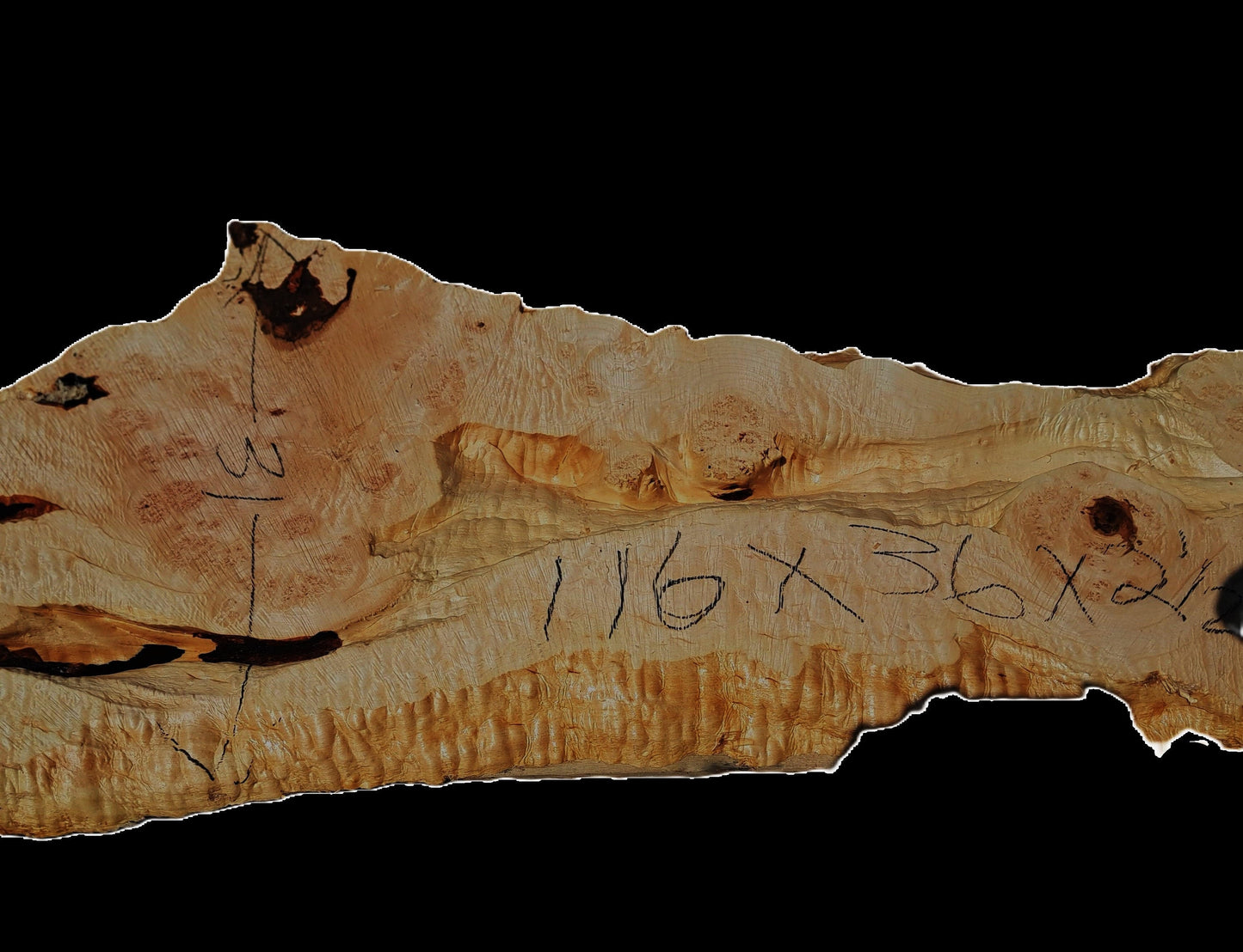 Maple Burl | Live Edge Slab | River Table | DIY | MA25-2769