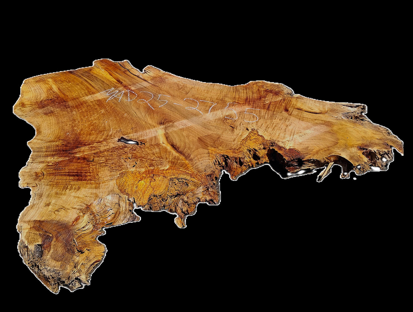 Myrtle Burl Slab | DIY | Table | Craft Wood | River Table | Mrt25-2755