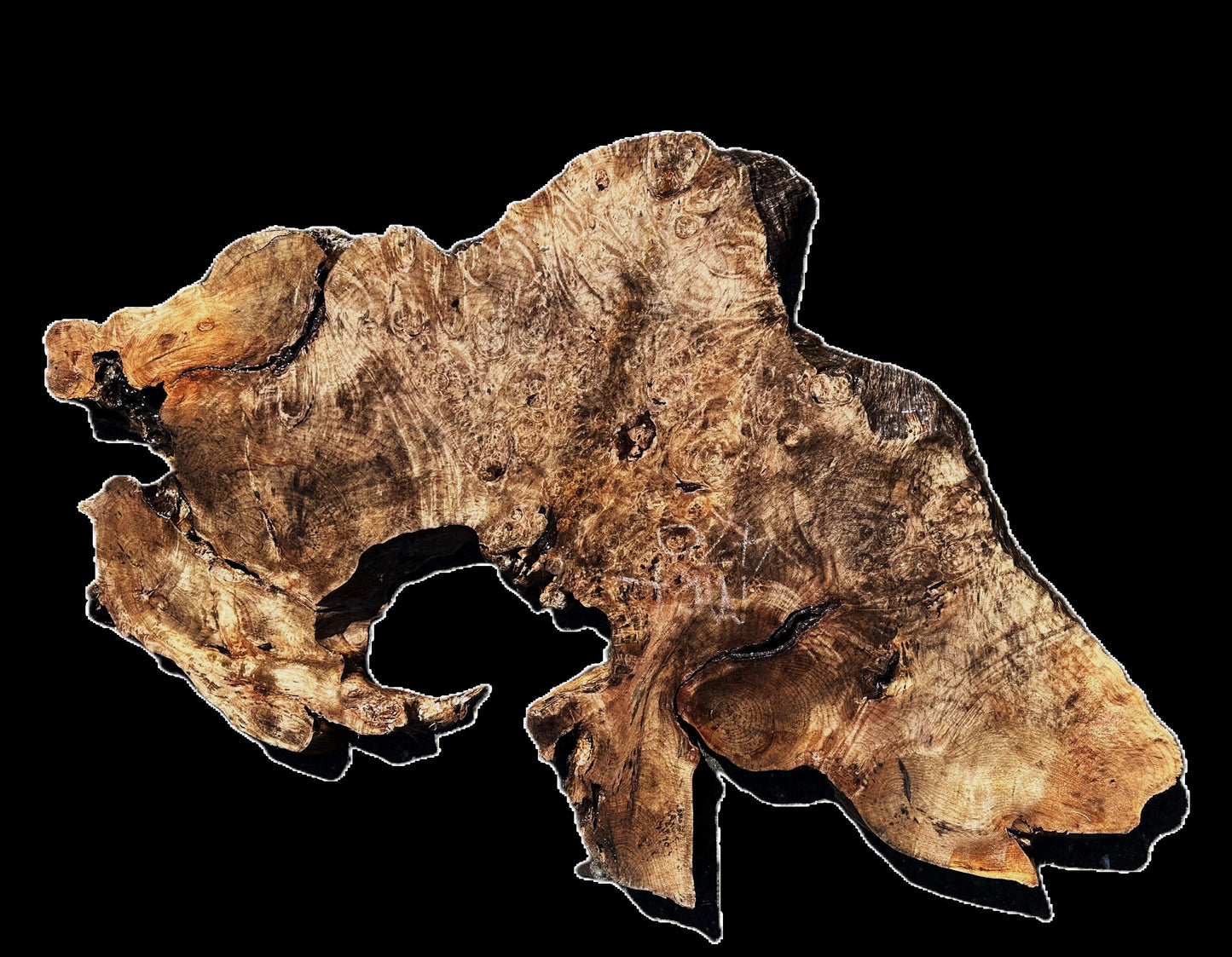 Myrtle Burl Slab | Live Edge | river table | DIY | Mrt407