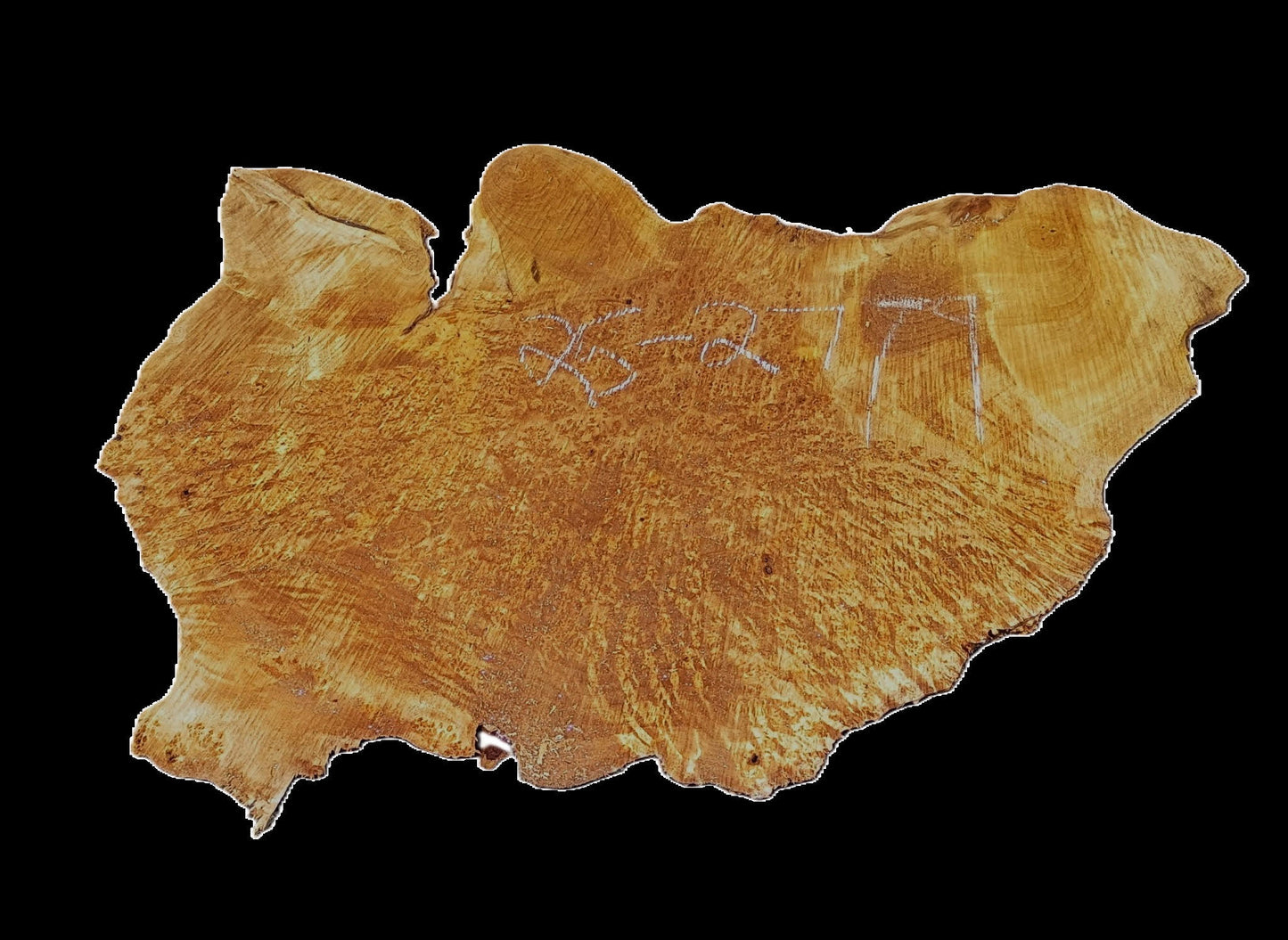 Myrtle Burl Slab | Live Edge | River Table | DIY | Mrt25-2779
