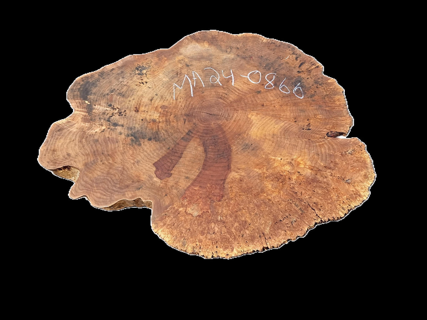 Maple Burl | Live Edge Slab | River Table | DIY | MA24-0866