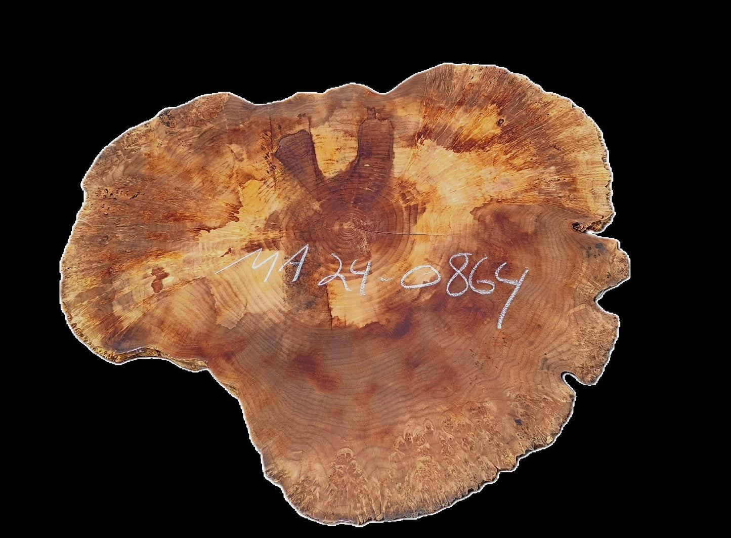 Maple Burl | Live Edge Slab | River Table | DIY | MA24-0864