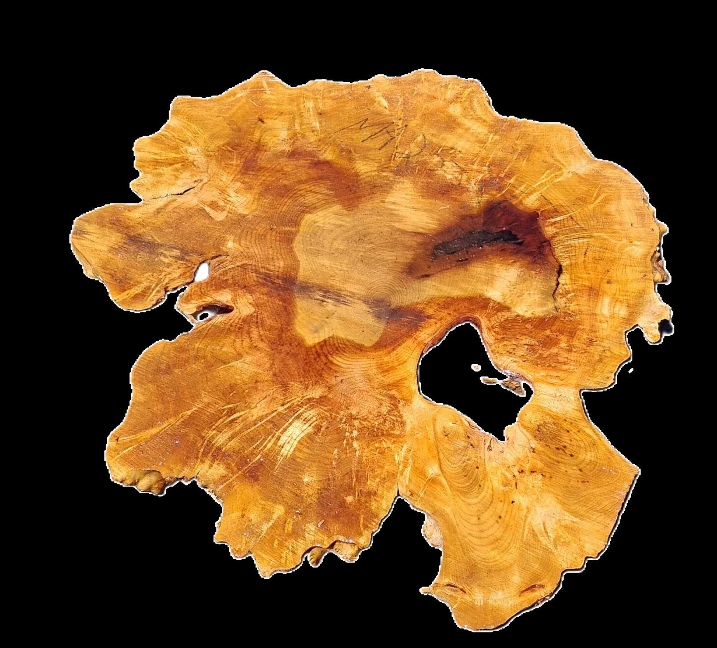 Maple Burl | Craftwoods | River Table | DIY | MA25-2737