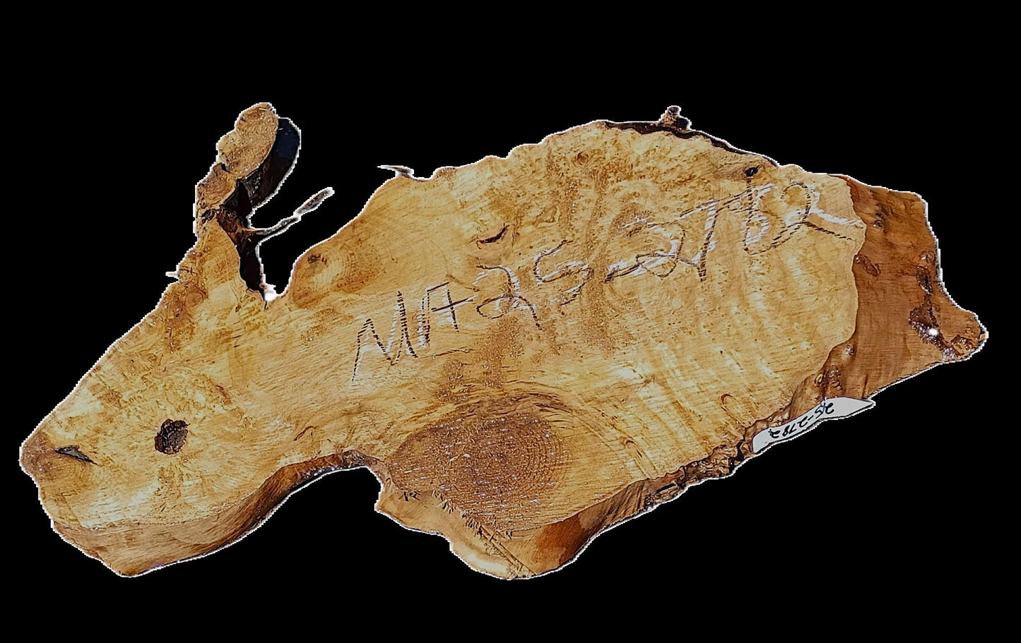 Myrtle Burl Slab | Live Edge | Craftwood | DIY | Mrt25-2782