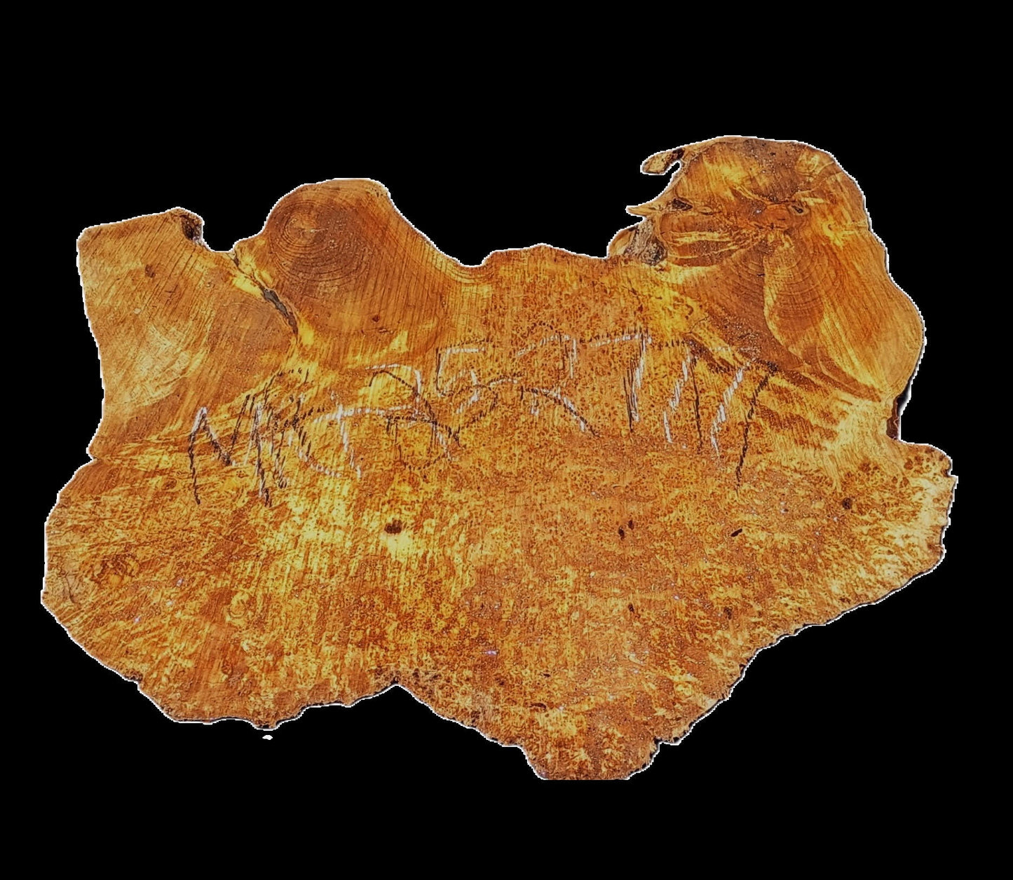 Myrtle Burl Slab | Live Edge | River Table | DIY | Mrt25-2777