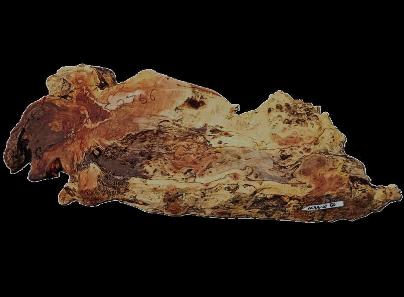 Maple Burl | Live Edge Slab | River Table | DIY | MA25-2766