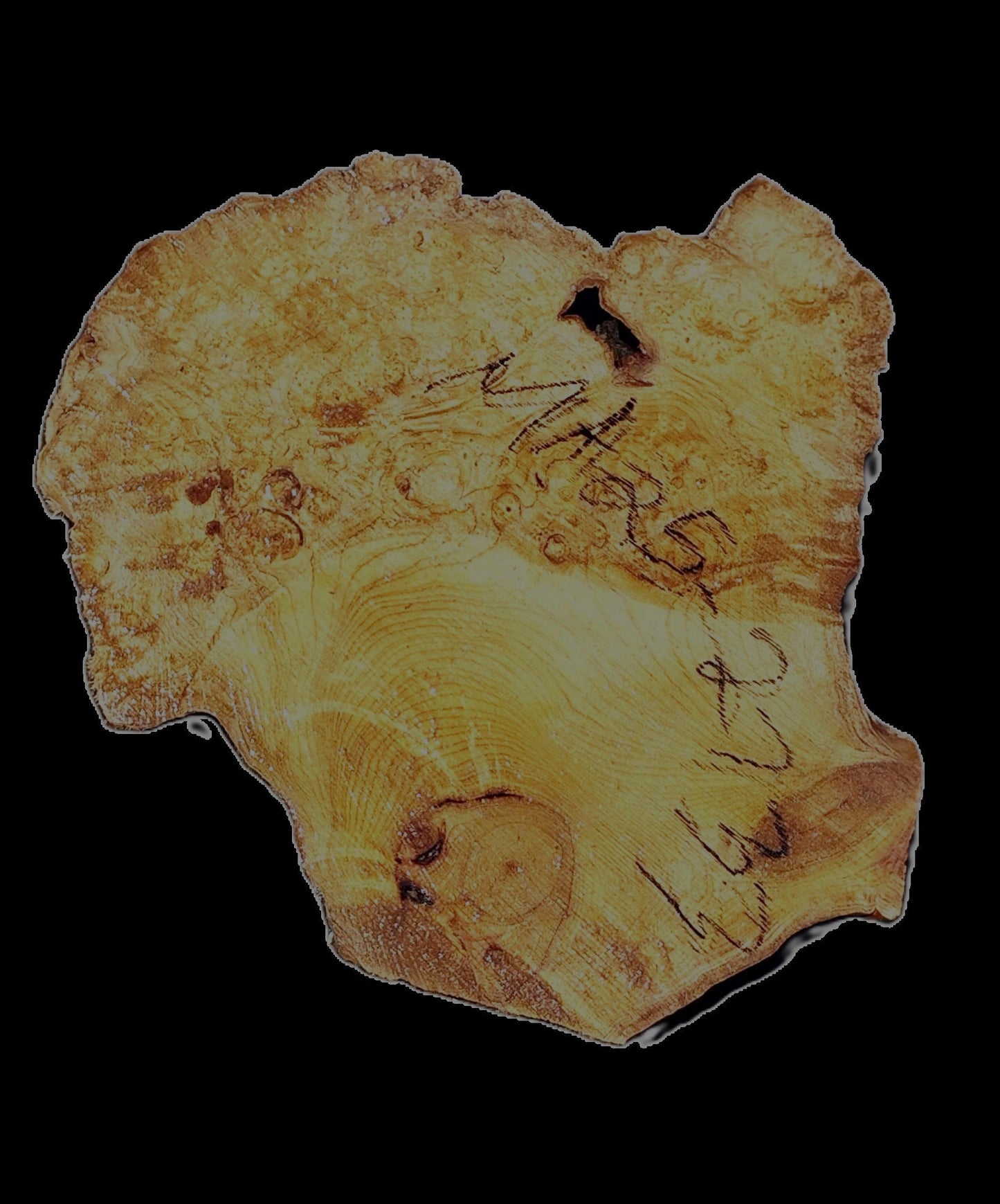 Maple Burl | Craftwoods | River Table | DIY | MA25-2733