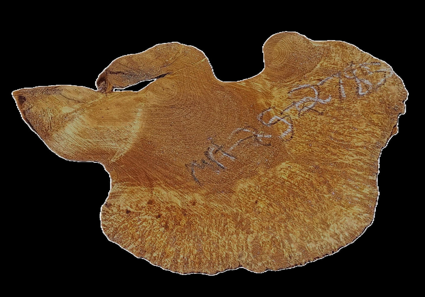 Myrtle Burl Slab | Live Edge | river table | DIY | Mrt25-2785