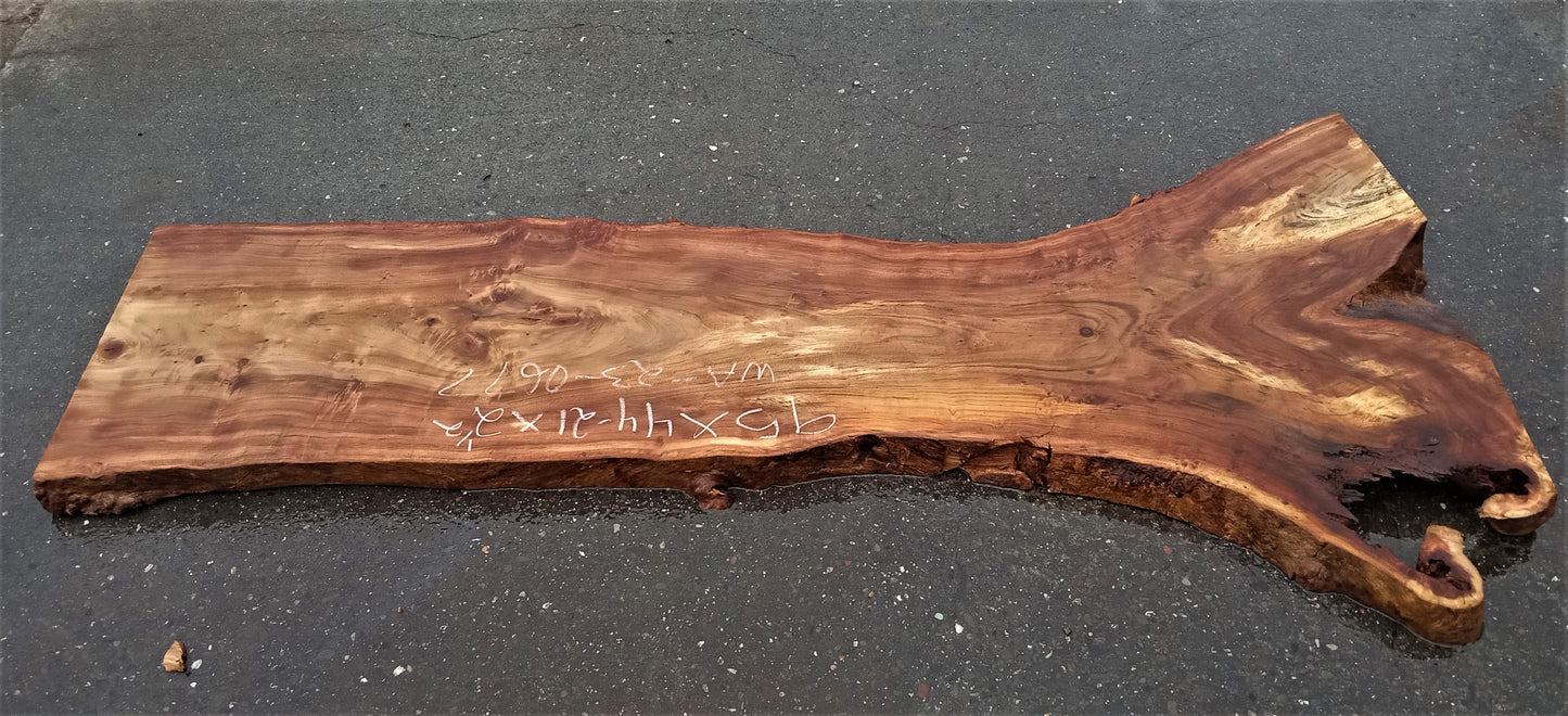 Walnut burl | epoxy river table | live edge slab | DIY ideas | wa23-0677