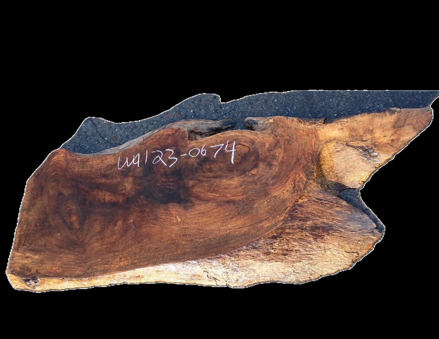 Walnut Slab | DIY | Live Edge | River Table | Wal23-0674