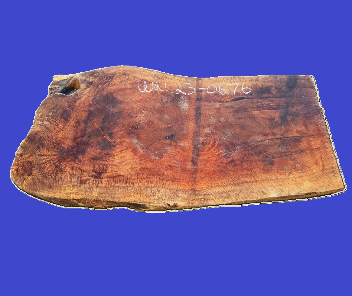 Curly Walnut Slab | DIY | Live Edge | River Table | Wal23-0676