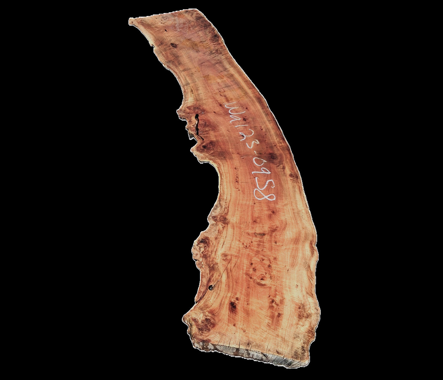 English Walnut Slab | Table | Counter | Live Edge Headboard | Wal23-0958