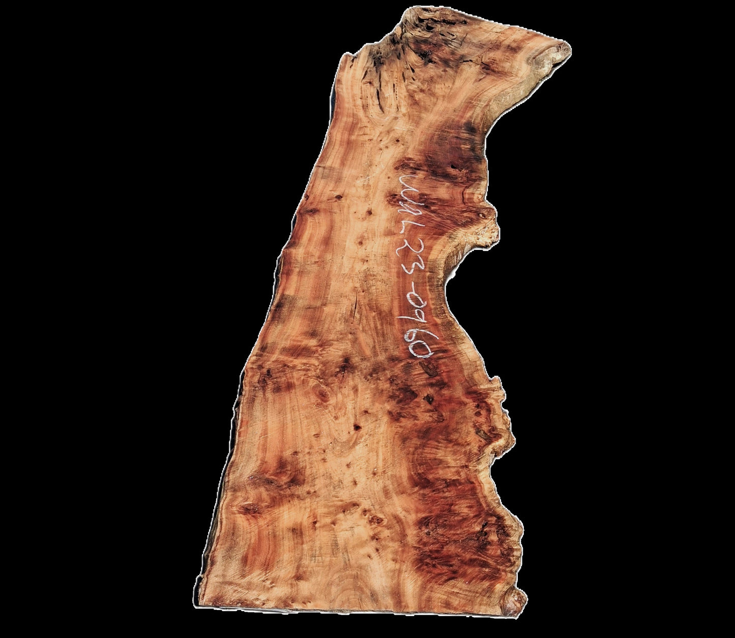 English Walnut Slab | Table | Counter | Live Edge Headboard | Wal23-0960