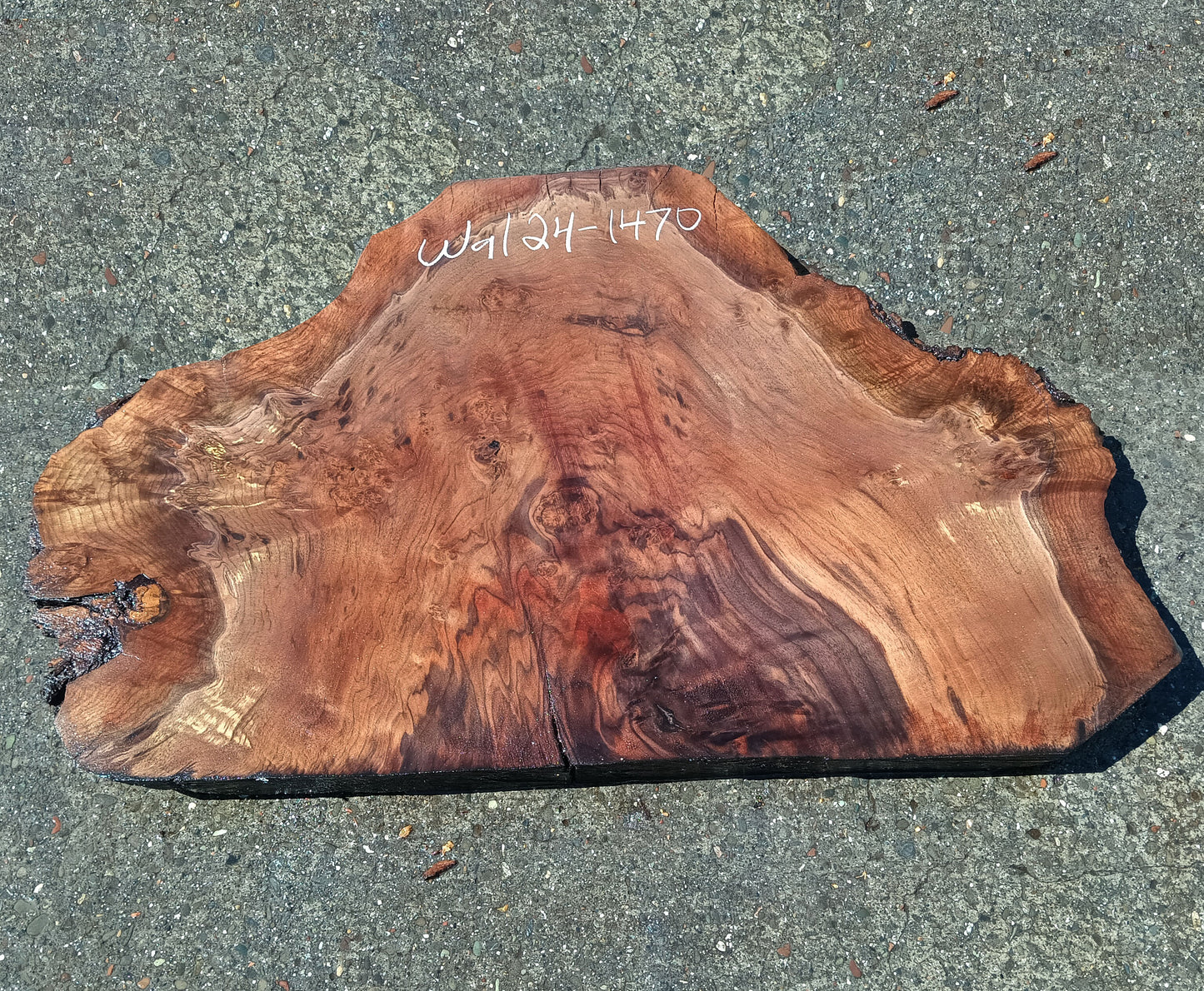 Walnut Slab |  DIY Crafts | Live Edge | Wal24-1470