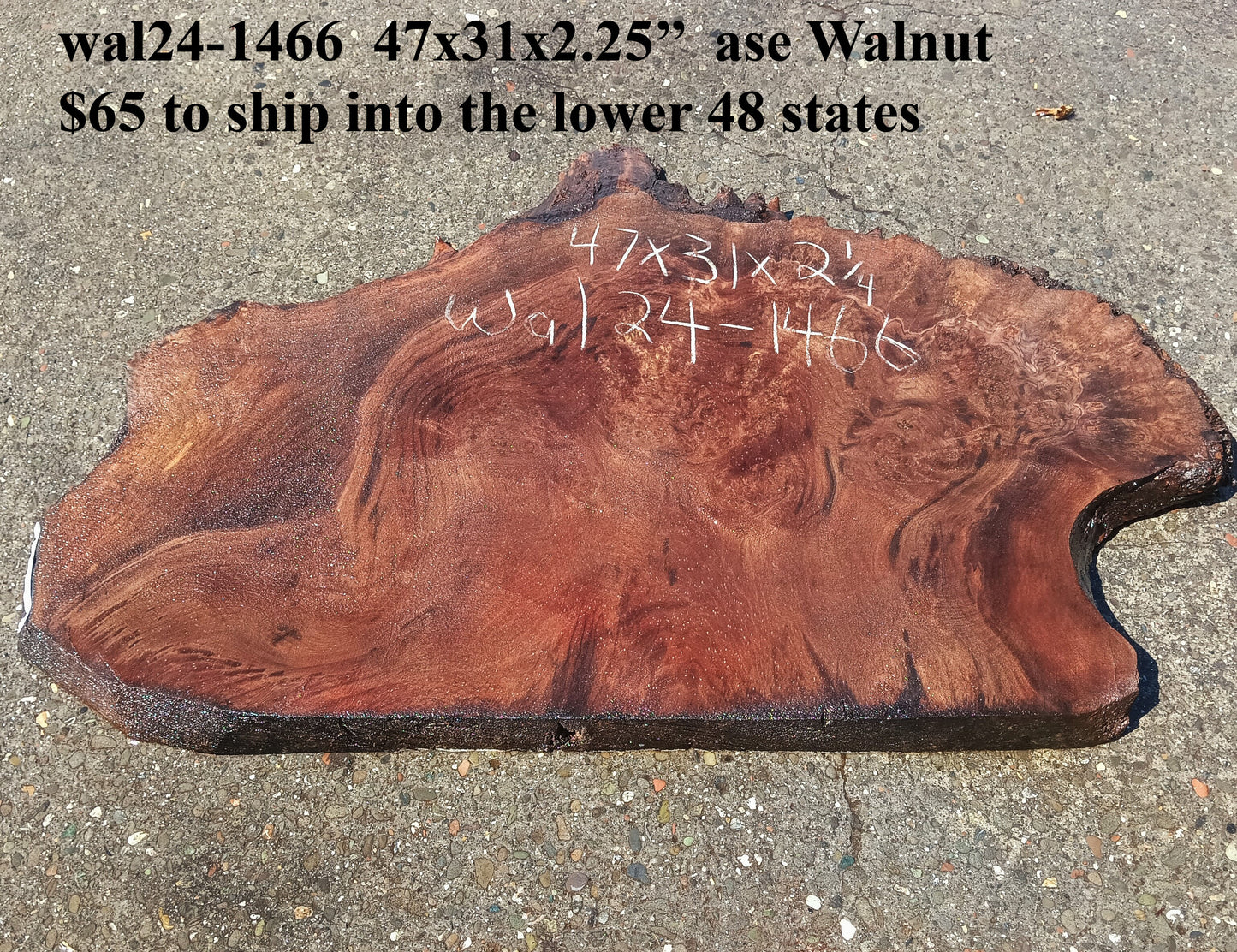 Walnut Slab | DIY Crafts | Live Edge | Wal24-1466
